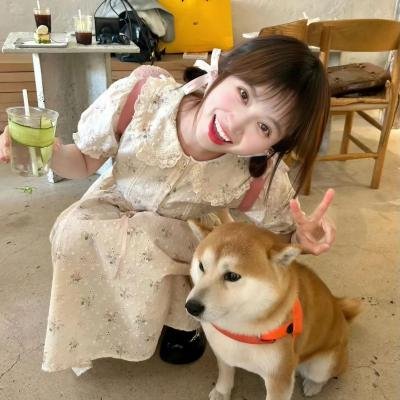 神烦警探 第二季
